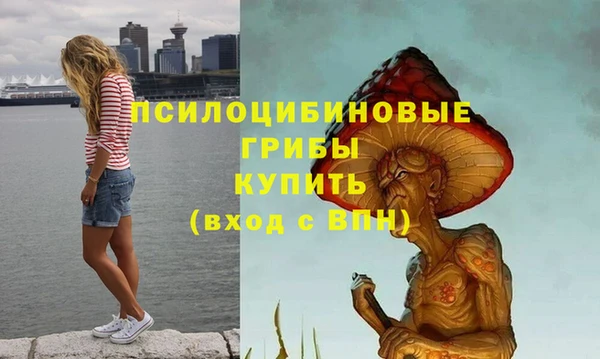 apvp Абаза