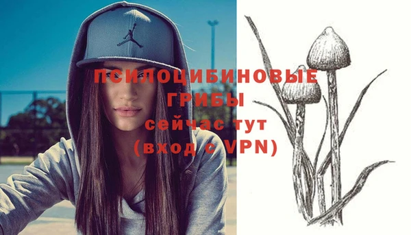 герыч Абдулино