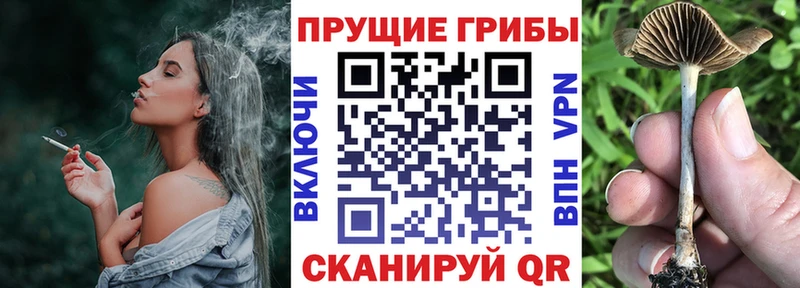 Галлюциногенные грибы прущие грибы  где купить наркотик  сайты даркнета наркотические препараты  Троицк 