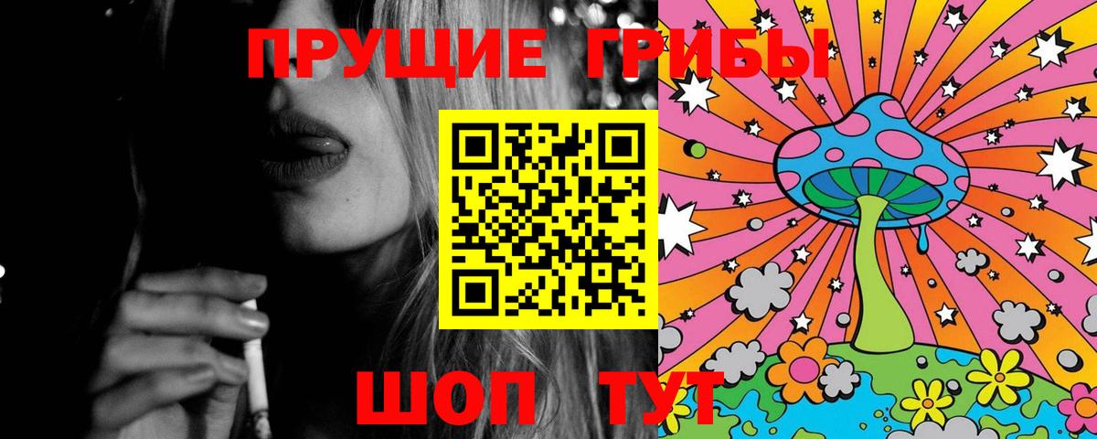 Троицк  Галлюциногенные грибы прущие грибы  Вход с VPN 
