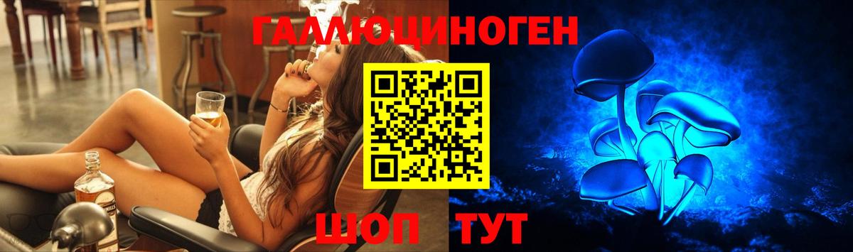 Псилоцибиновые грибы Psilocybe Троицк
