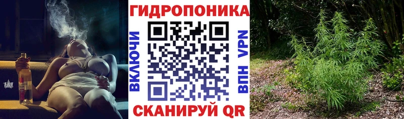 Каннабис ГИДРОПОН  Троицк 